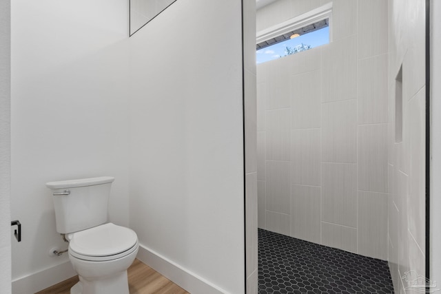 bathroom with wood-type flooring and toilet