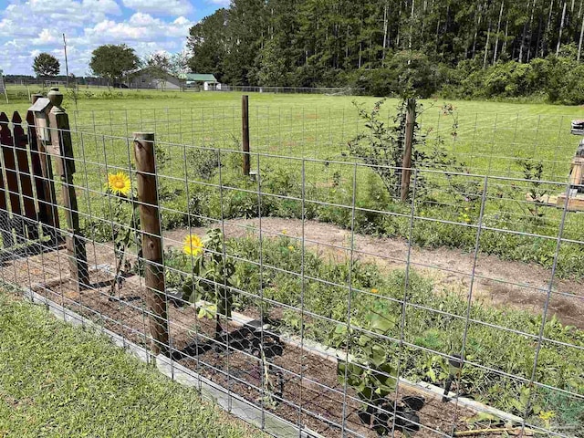 view of yard with a rural view