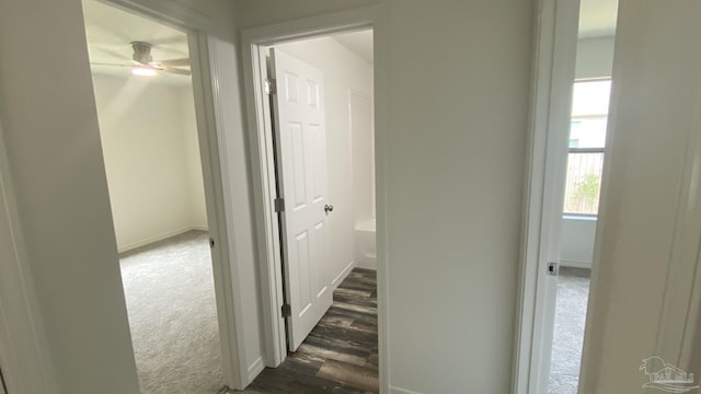 hallway featuring baseboards, dark carpet, and dark wood-style floors