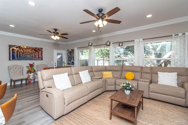 living room featuring light hardwood / wood-style floors, ceiling fan, and crown molding