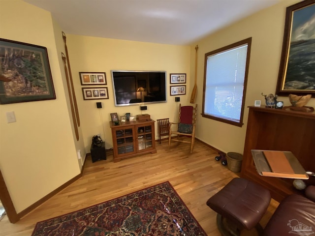 living area featuring light hardwood / wood-style flooring