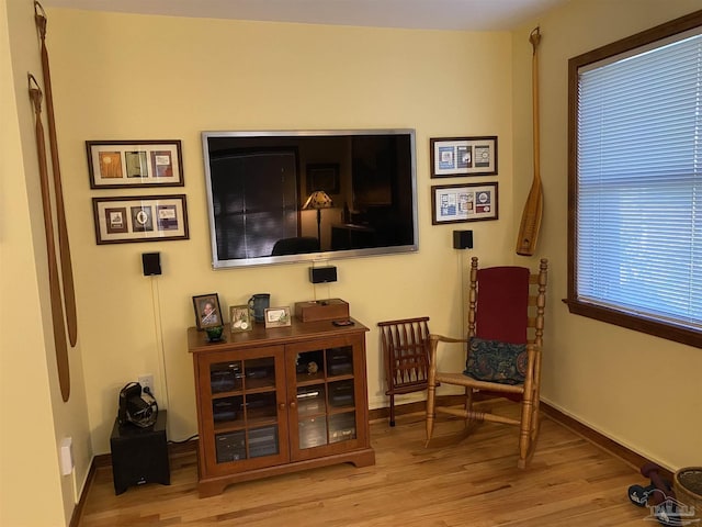 living area featuring light hardwood / wood-style floors