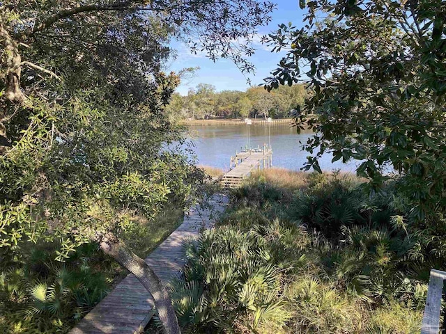 water view featuring a boat dock