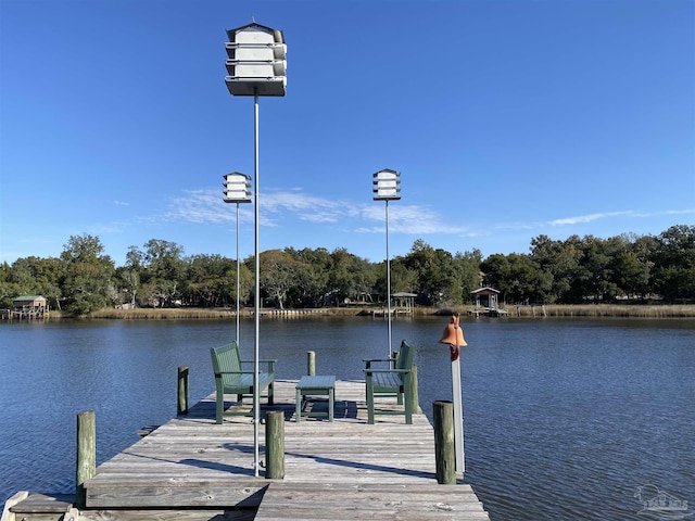 dock area with a water view