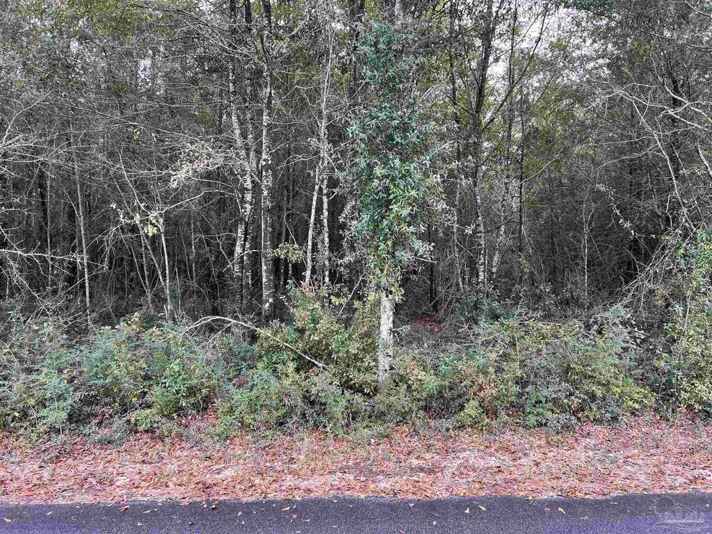 LOT10 Horace Lunsford Rd, Milton, FL 32570