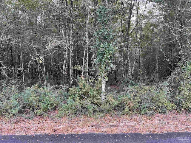 LOT10 Horace Lunsford Rd, Milton, FL 32570