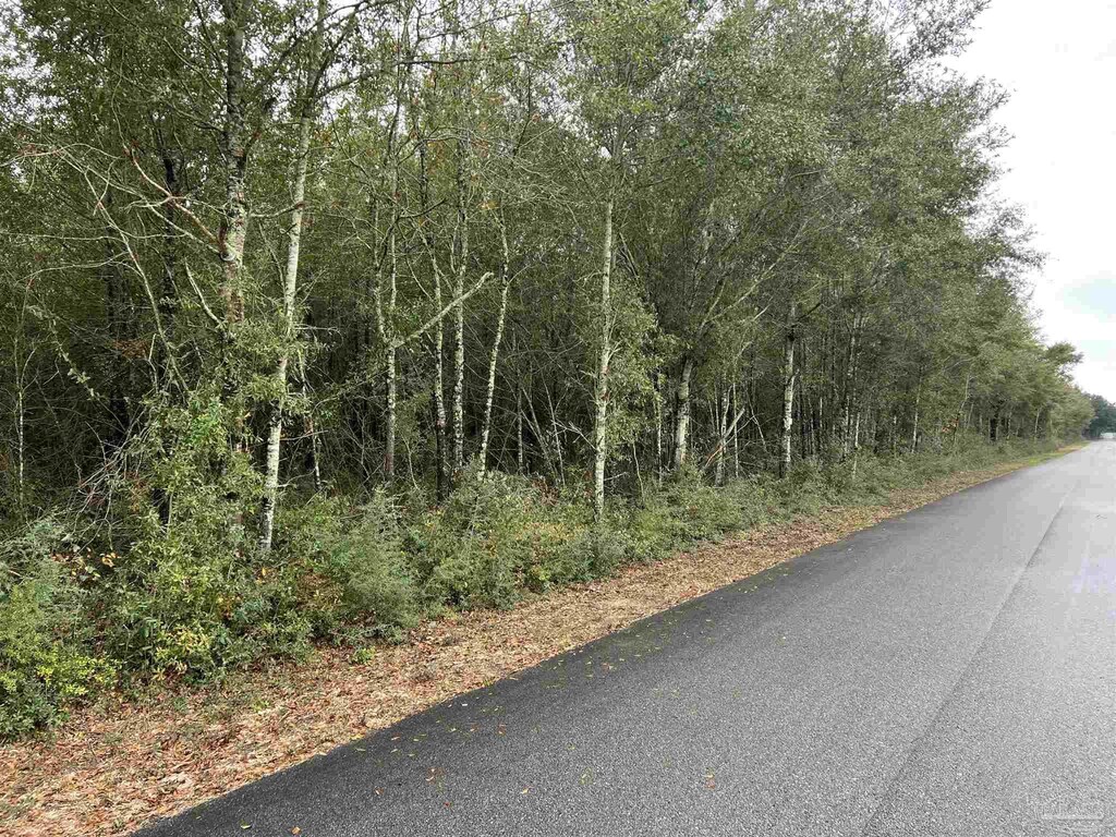 LOT10 Horace Lunsford Rd, Milton, FL 32570