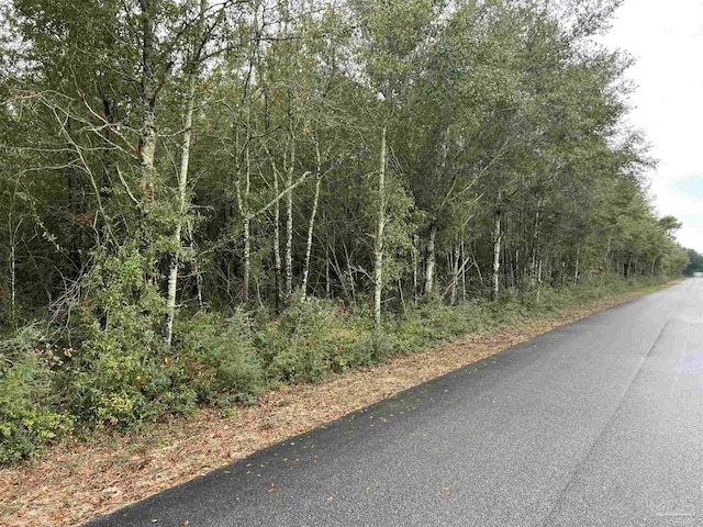 LOT10 Horace Lunsford Rd, Milton, FL 32570