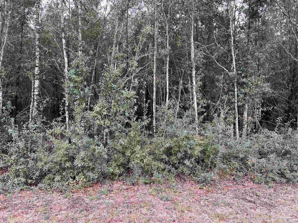 LOT10 Horace Lunsford Rd, Milton, FL 32570