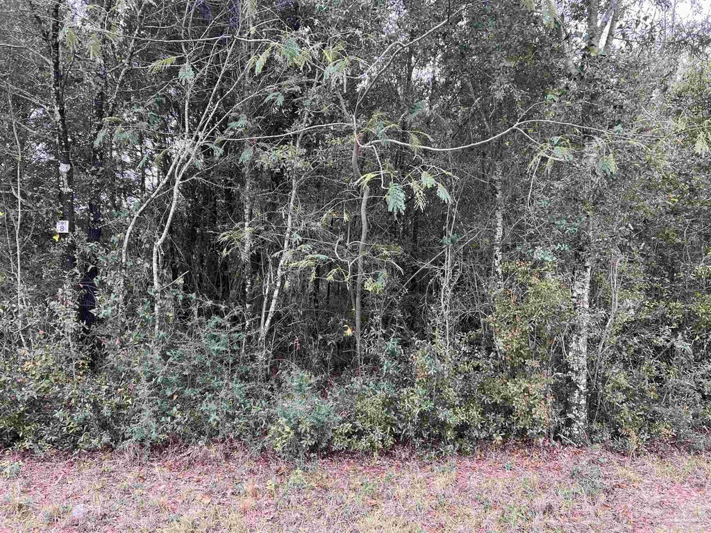LOT10 Horace Lunsford Rd, Milton, FL 32570