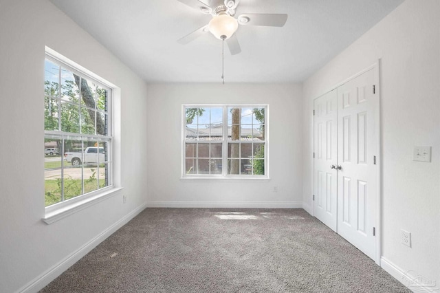 interior space featuring multiple windows, baseboards, and carpet floors