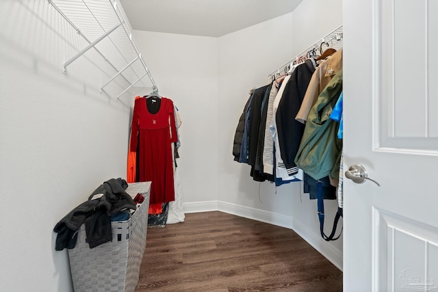 walk in closet featuring dark hardwood / wood-style flooring