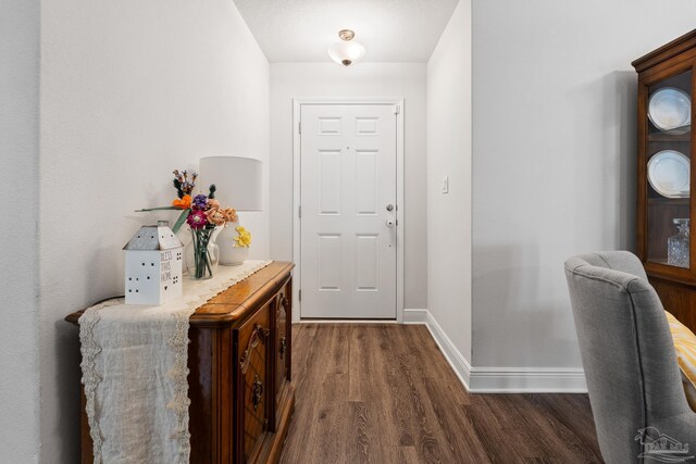 entrance foyer featuring dark wood-type flooring