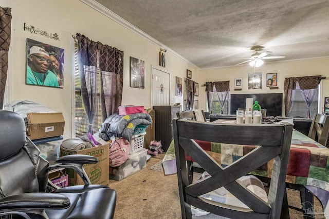 interior space featuring ceiling fan, a textured ceiling, ornamental molding, and carpet floors