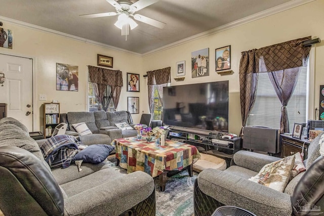 living room featuring crown molding and ceiling fan