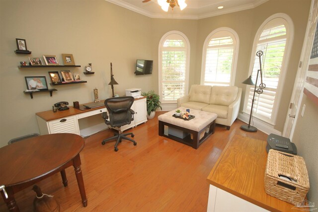 office with light wood-style floors, ceiling fan, and ornamental molding
