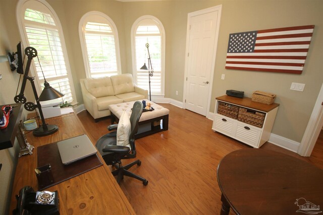 office space featuring baseboards, wood finished floors, and plenty of natural light
