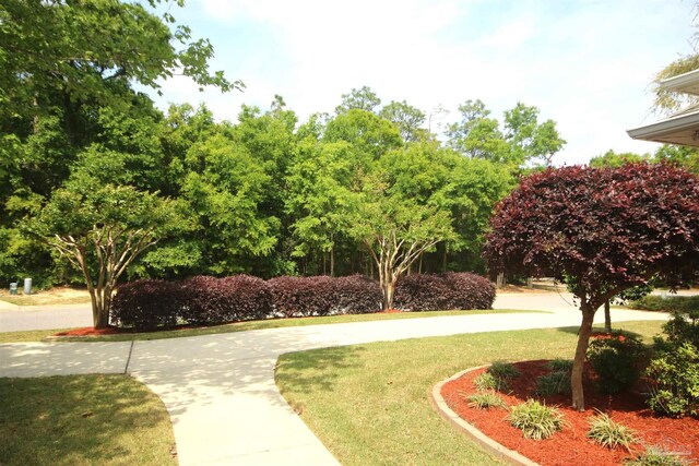 surrounding community featuring a lawn