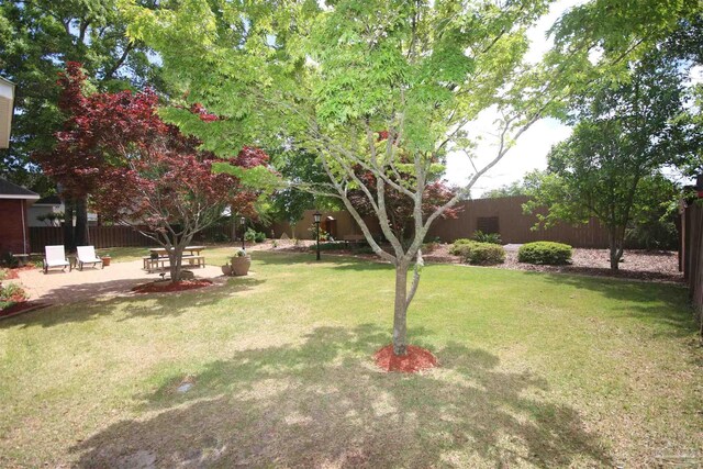 view of yard featuring a fenced backyard and a patio
