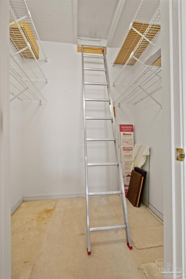 view of walk in closet