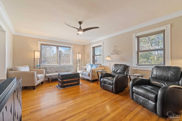 living room featuring ceiling fan, ornamental molding, and light hardwood / wood-style floors