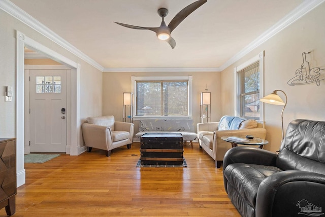 living room featuring ceiling fan, ornamental molding, and light hardwood / wood-style floors