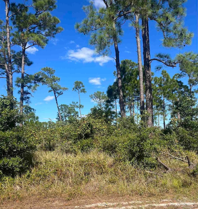 16212 Narwhal Dr, Pensacola FL, 32507 land for sale