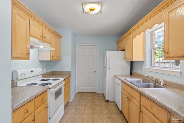 kitchen featuring a sink, light brown cabinets, white appliances, light countertops, and under cabinet range hood