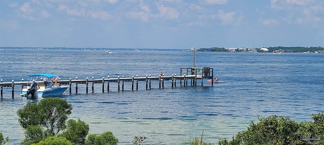 dock area featuring a water view