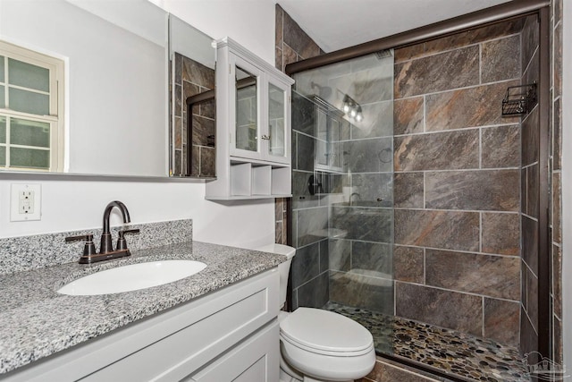 bathroom featuring vanity, toilet, and a shower with door