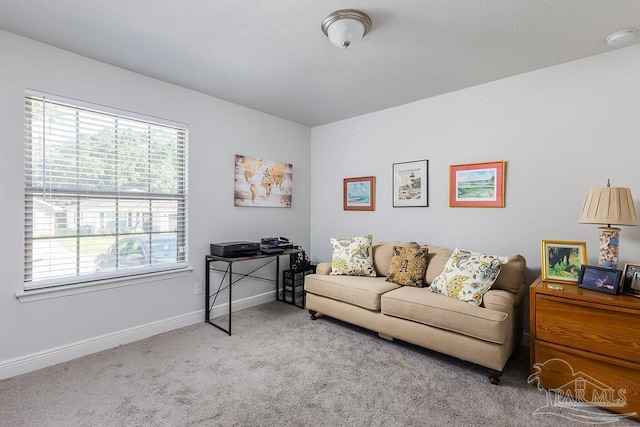 view of carpeted living room