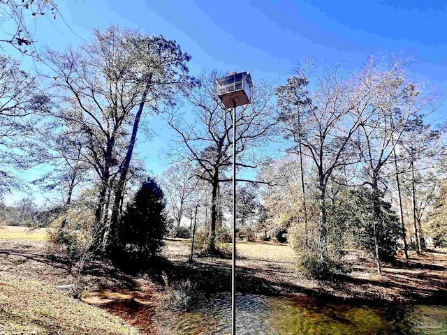 view of local wilderness featuring a water view