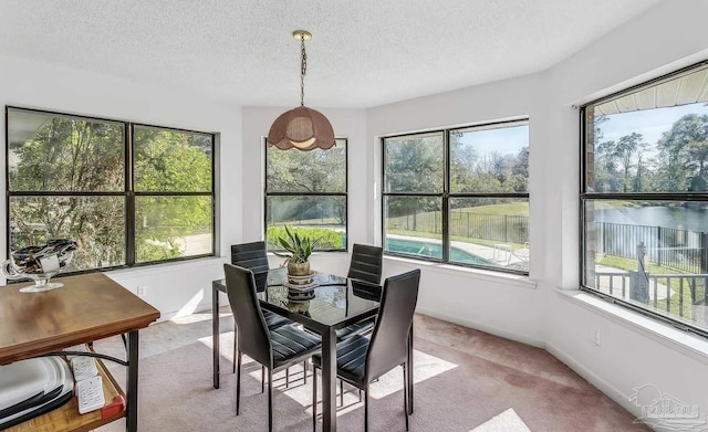 sunroom / solarium featuring a healthy amount of sunlight