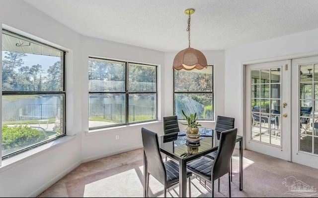 sunroom / solarium featuring french doors and plenty of natural light