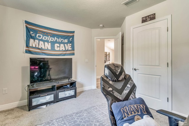 interior space featuring carpet and a textured ceiling