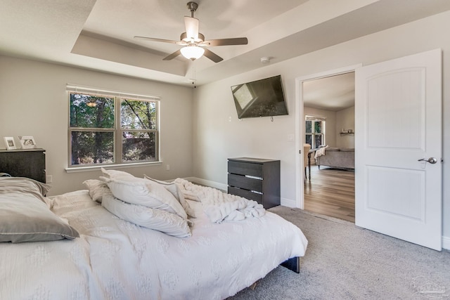 bedroom featuring ceiling fan, a tray ceiling, and carpet flooring