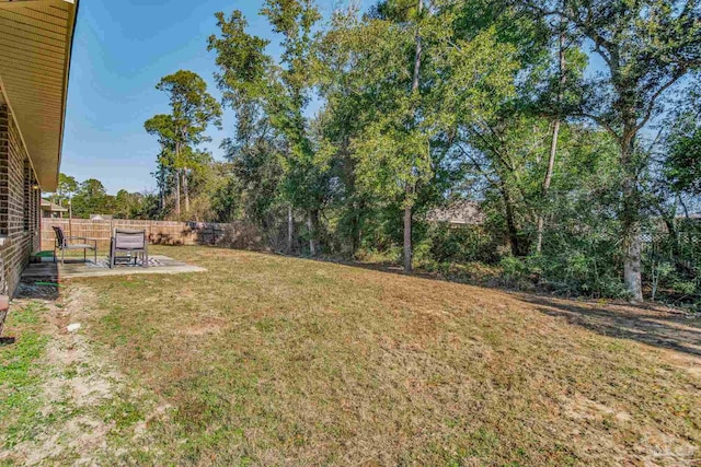 view of yard with a patio area