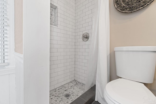 bathroom with toilet and a shower with shower curtain