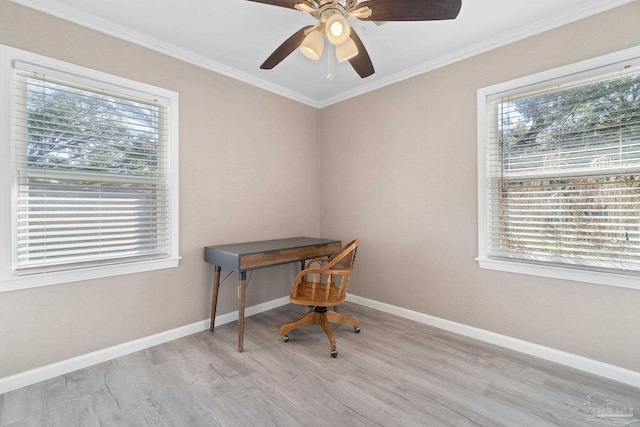 office area with a wealth of natural light, crown molding, light hardwood / wood-style flooring, and ceiling fan