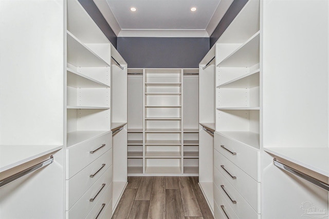 walk in closet featuring hardwood / wood-style flooring