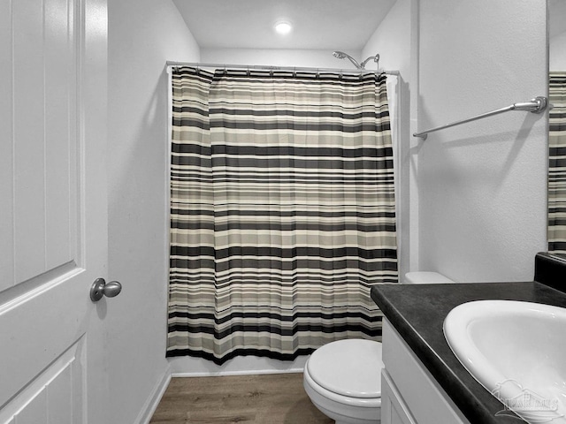 4695 Perception Cir, Milton, FL 32570 - bathroom with toilet, vanity, wood finished floors, and a shower with shower curtain