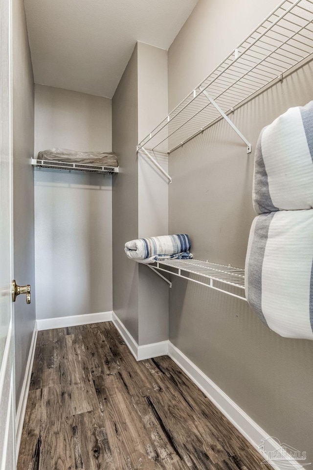 walk in closet with wood-type flooring