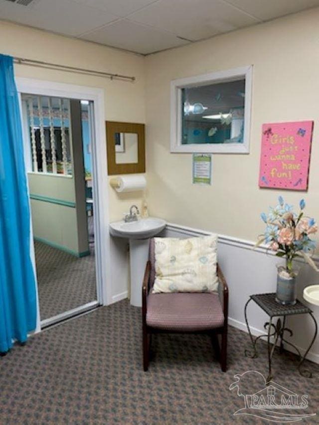 sitting room featuring carpet floors