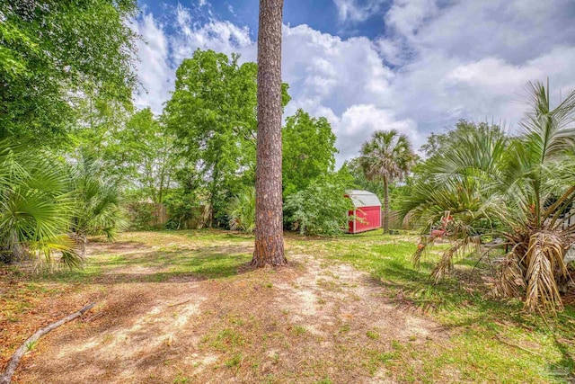 view of yard featuring a storage unit