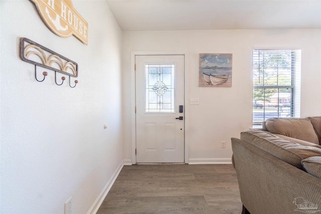 entryway featuring dark wood-type flooring