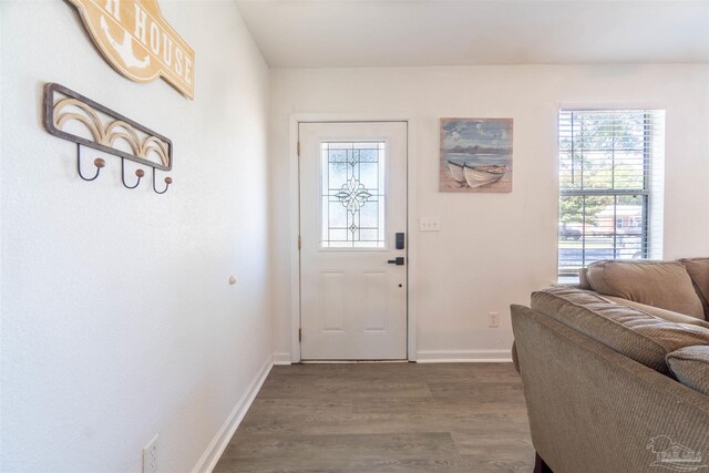 doorway to outside featuring dark hardwood / wood-style floors