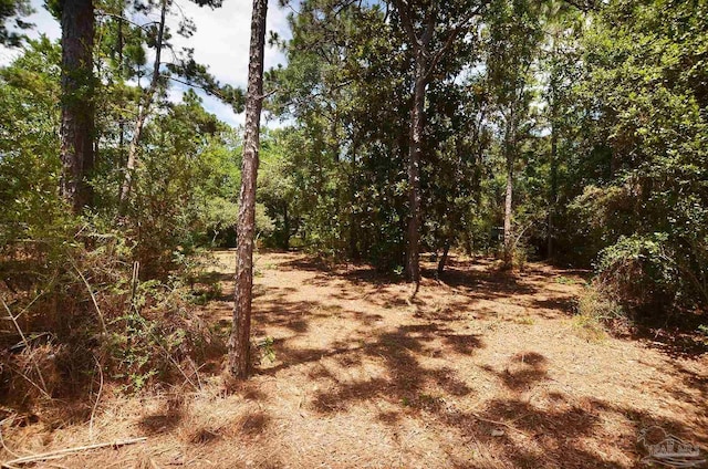 2153 Bergren Rd, Gulf Breeze, FL 32563 - view of tree filled area