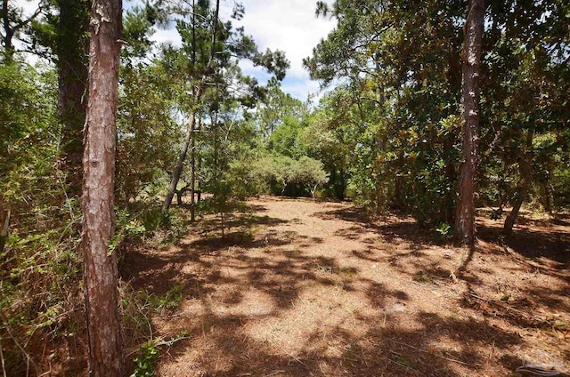 2153 Bergren Rd, Gulf Breeze, FL 32563 - view of street