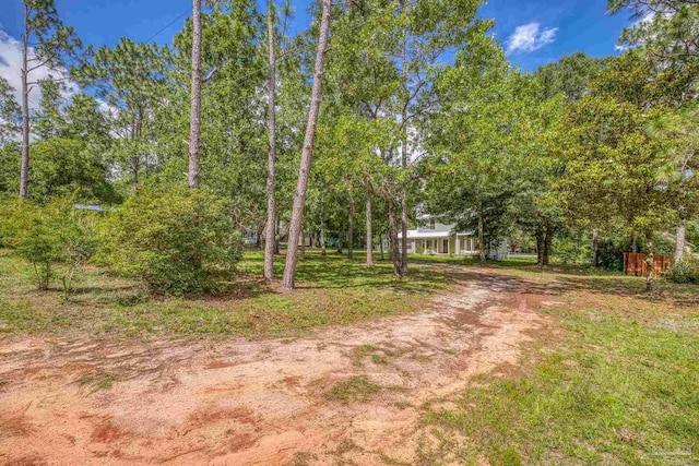 6136 Beasley Rd, Crestview, FL 32536 - view of dirt / gravel driveway