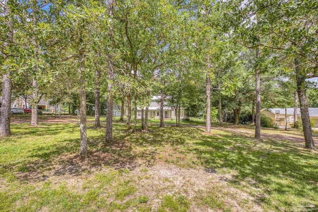 6136 Beasley Rd, Crestview, FL 32536 - view of grassy yard